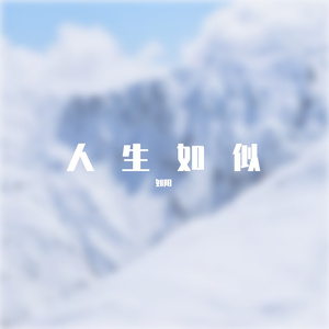人生如似