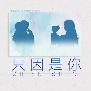 只因是你