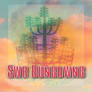 Swr Bungdwng