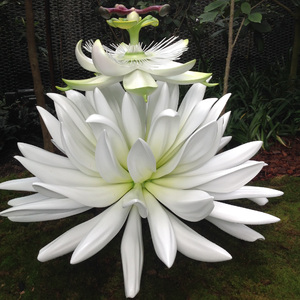 你是人间四月天