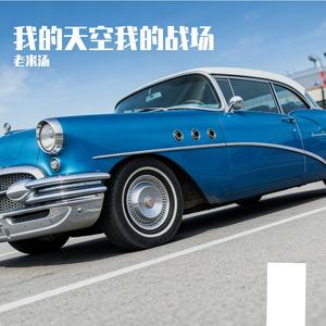 我的天空我的战场