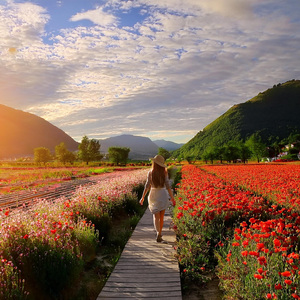 Las Armonías Guiarán La Tranquilidad