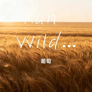 Run Wild (向风而野) (Cover 是晚星呀)