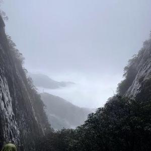 独木 (Cover 张云雷)