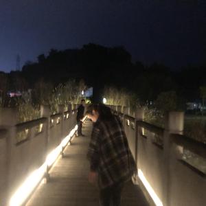 理想（翻自 赵雷）