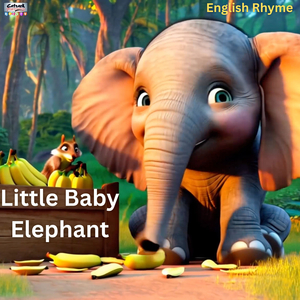 Little Baby Elephant