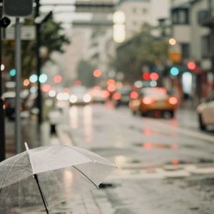 后来的我们，只剩听说