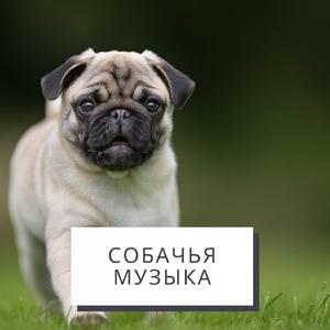 Музыка беспокойства собаки