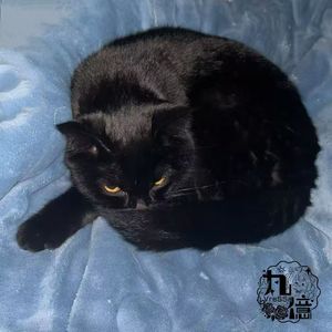 RainyDayIMissUMuch DEMO