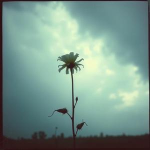 Just Another Cheater