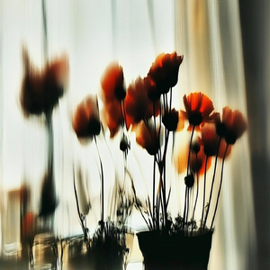 Flowers in the Window