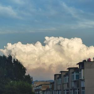 我把伞向那朵花倾斜（demo）