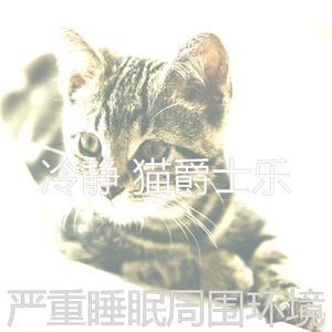 有趣小猫情怀