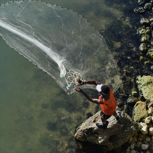 Water (feat. Denise Chaila, God Knows & MuRli)