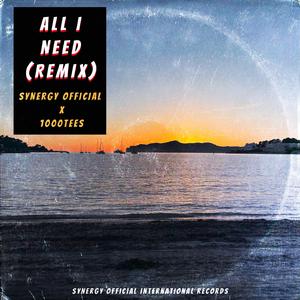 All I Need (Remix) (feat. 1000Tees)