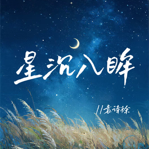 星沉入眸