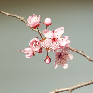 晨光书页 (沉浸式学习)