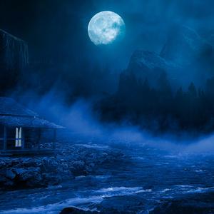 La Ciudad de Los Bosques Fantásticos