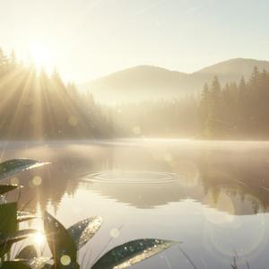 Positive Vibration Riser