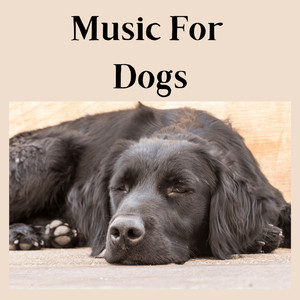 Dog Music for Sleep