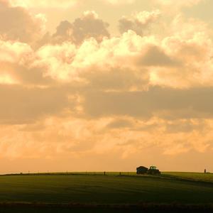 threaded between the crowded tables
