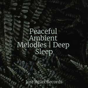 Cerulean Lullaby of Illusion