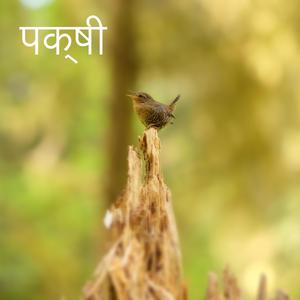 आरामदायक संगीत