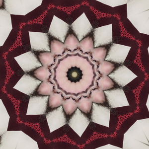 My mind wanders towards a future full of peace and harmony