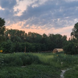 写给世界的信笺