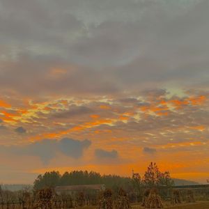 你是我所有的梦