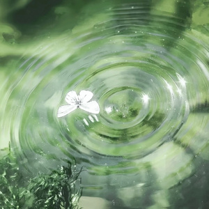 有我呢（片段）