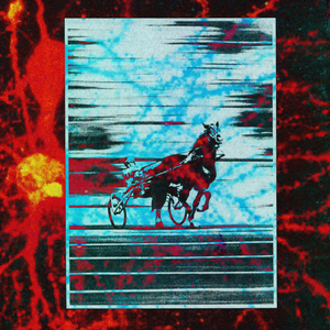 Frenzied (She Teiks Remix)