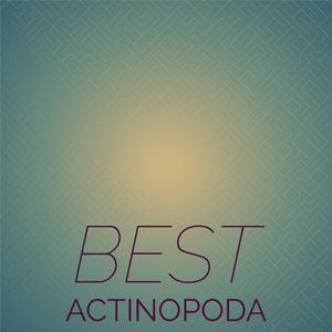 Best Actinopoda