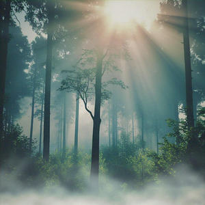 Teri Yaadon Mein 3.0