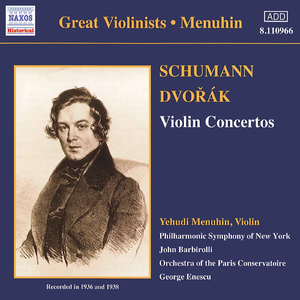 Violin Concerto in A Minor, Op. 53, B. 96:I. Allegro ma non troppo