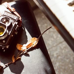 飘摇白月光在照耀你才想起她的好（治愈《白い月光と辰砂母斑》 白月光与朱砂痣大籽 抖音）