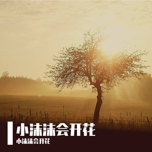 周传雄-寂寞沙洲冷（小沫沫会开花 remix）