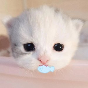想你就写信