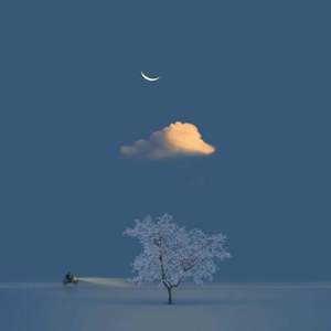 春已至，花已开