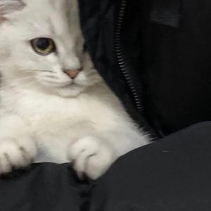 沉沦与遐想（翻自 程冉）