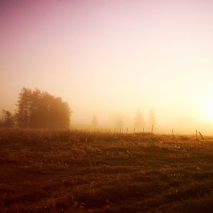 漂洋过海来看你