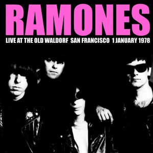 Sheena Is A Punk Rocker (Live)