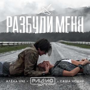 Разбуди меня