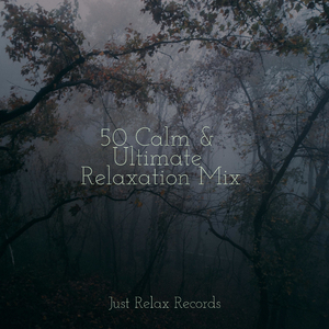 Melodic Oasis's Slumber