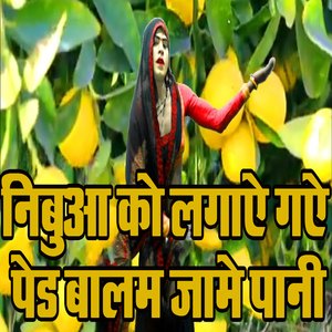 Nibua Ko Lagaaye Gaye Ped Baalam Jaame Paani