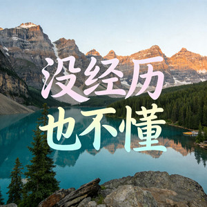 没经历也不懂（抖音热播）