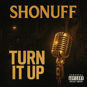 Turn it Up (feat. West Love)