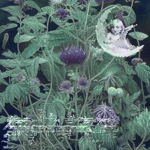 cloud cover (halfway home)