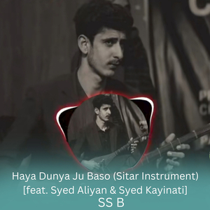 Haya Dunya Ju Baso (Sitar Instrument)