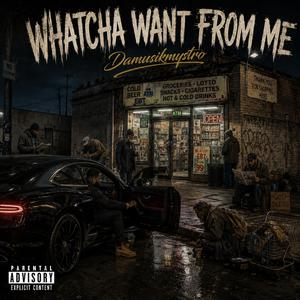 WHATCHA WANT FROM ME